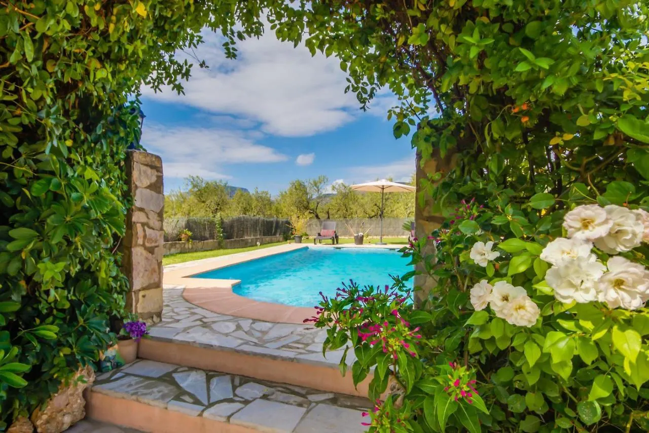 Ideal Property Mallorca - Puri Lloseta Hétvégi ház