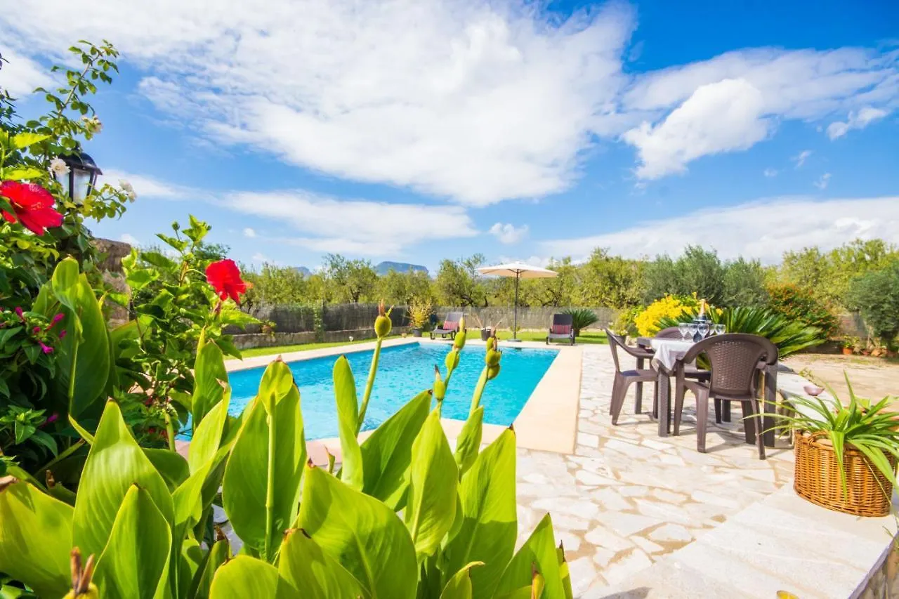 Ideal Property Mallorca - Puri Lloseta