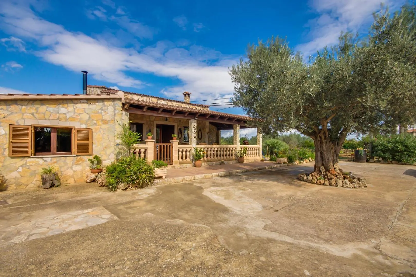 Ideal Property Mallorca - Puri Lloseta